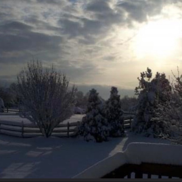 Meet your Posher, Lori - Picture 11 of 13